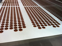 Machine de dépôt automatique de gouttes de biscuits aux pépites de chocolat avec garantie d'un an de 600mm