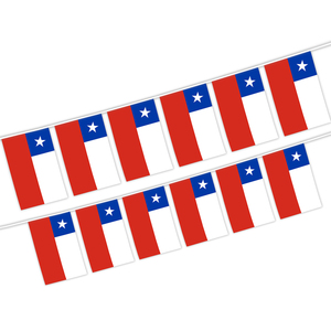 Produttore all'ingrosso di <span class=keywords><strong>cile</strong></span> Flag Bunting con le dimensioni personalizzate e il modello per le decorazioni - Product Image 1