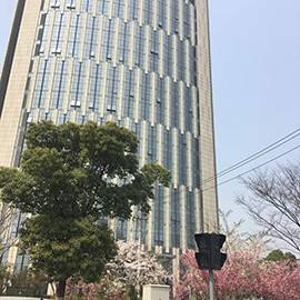 Bubuk Asam Alginat 9005-32-7 Bubuk Natrium Alginat Kelas Farmasi - Product Image 6