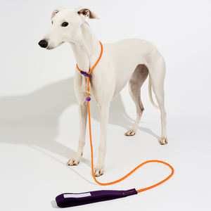OEM tali kekang latihan anjing besar Medium kustom tali leher anjing antilicin tali pengikat nilon empuk mewah tali timbal selip fungsional - Product Image 4