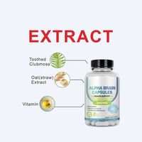 HDK OEM ODM Capsules Mémoire et Concentration 240mg avec Choline, Clubmoss denté et Paille d'avoine pour le soutien cognitif cérébral, Végétalien