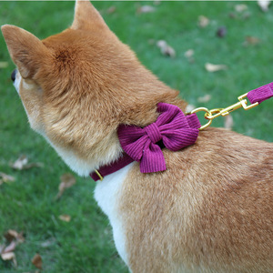 Okeypets Accessoires <span class=keywords><strong>pour</strong></span> animaux de compagnie : Nœuds papillon et colliers ajustables en velours côtelé <span class=keywords><strong>pour</strong></span> chiens – Mignons et abordables - Product Image 4
