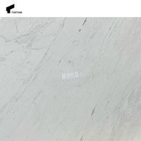 Tostone Charme Naturel Carrare Blanc Poli Carré Marbre Durable Dalle pour Concis Salon Style Maison Hôtel Design