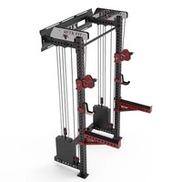 Máquina de Ejercicios Multifuncional REYK de Acero Inoxidable para Montar en la Pared, con Sistema de Poleas Cruzadas y Pila de Pesas de 75 kg+, Equipo de Ejercicio Completo para el Hogar