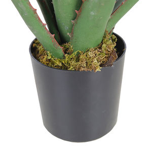 Planta Artificial de <span class=keywords><strong>Aloe</strong></span> <span class=keywords><strong>Vera</strong></span> de 35cm, plantas realistas de <span class=keywords><strong>Agave</strong></span> de imitación, plantas artificiales en maceta para sala de estar, mesa, decoración interior del hogar - Product Image 5