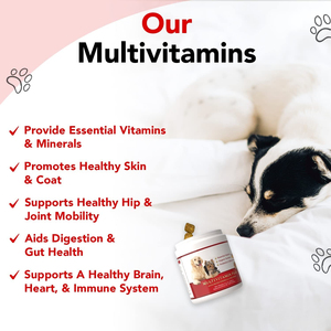 Logo del marchio personalizzato vitamine integratori di allevamento di cani promuovere la resistenza Stud integratore di fertilità per cani - Product Image 3