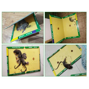 Yukang Chất Lượng Cao 40G Lớn Keo Dính Hội Đồng Quản Trị Chuột Không Thể Di Chuyển Loài gặm nhấm Kiểm Soát Bẫy - Product Image 4