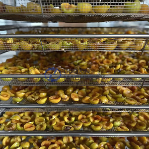 Machine de séchage de fruits personnalisable à source de chaleur, pour pruneaux et abricots - Product Image 4