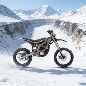 Motocicleta Eléctrica Perfecta de 21kw 74v 60ah Surron Ultra Bee 2025 con Certificado CE para Todas las Condiciones Climáticas - Product Image 1