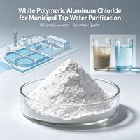 Proveedor OEM de Químico para Aguas Residuales al 28%, Químico para Purificación de Agua Potable