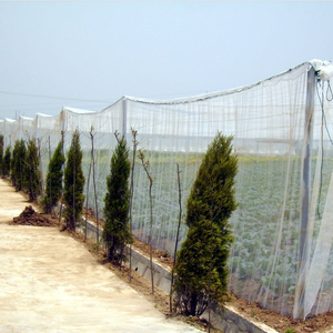 100% HDPE lưới 80 lưới 35g mỗi trọng lượng vuông thông thường côn trùng trắng lưới chống sâu bệnh - Product Image 4