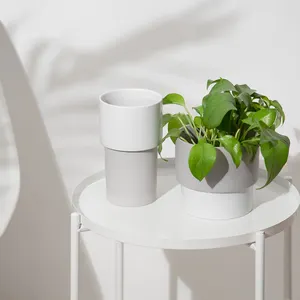 Nordic Woondecoratie Creatieve Unieke Tuin Vetplant Potten Set Witte Keramische Bloempot