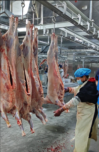 Équipements d'abattage de chèvres et de moutons de haute qualité à prix abordable, ligne d'abattage de moutons, machine d'abattage d'agneaux - Product Image 4