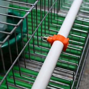 Assurance Commerciale Cages à Lapins d'Occasion à Vendre - Product Image 6