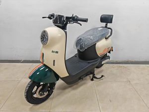 Y4-JG <span class=keywords><strong>ม</strong></span>อเตอร์<span class=keywords><strong>ไซ</strong></span><span class=keywords><strong>ค์</strong></span>ไฟฟ้าควา<span class=keywords><strong>ม</strong></span>เร็วสูง10นิ้วสำหรับผู้หญิงมอเตอร์60V 600W/800W/1000W ซีรีย์ให<span class=keywords><strong>ม</strong></span>่ยอดนิยม - Product Image 6