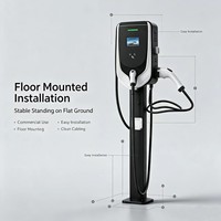 Nueva Estación de Carga para Vehículos Eléctricos Compatible con el Reino Unido, con Potencia de Salida de 7kW-44kW, Interfaz Tesla, Entrada de 220V, IP55, para Fabricación