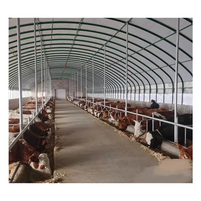 China billige vorgefertigte Stahl konstruktion Rinder Milchkühe Farm kleine Scheune Schuppen Gebäude