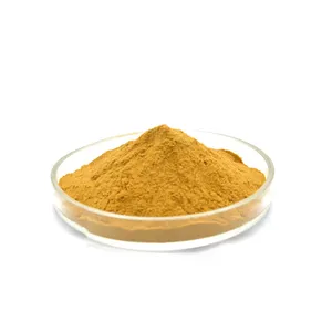 Pure Natural Honeysuckle Flower Extract Powder 98% Honeysuckle Chlorogenic Acid