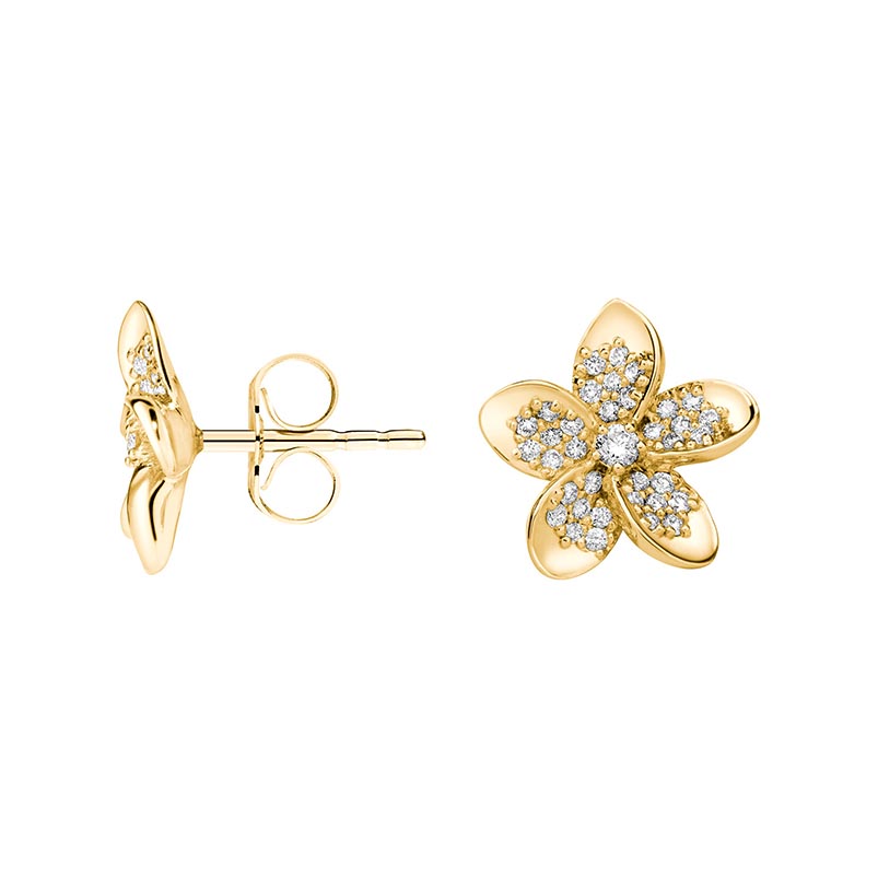 18k gold plated s925 silver zircon earrings