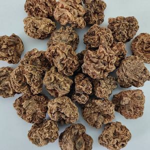 الأكثر مبيعًا القط تخفيف الضغط الأكتينيديا بوليغاما الفواكه ماتابي الحشرات الجال الفاكهة - Product Image 6