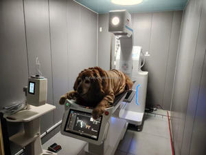 EUR VET mesin x-ray Digital hewan peliharaan kualitas stabil, peralatan dokter hewan tomografi komputasi resolusi tinggi - Product Image 6