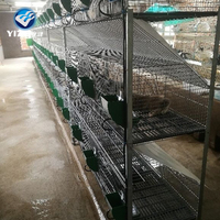 Cage d'élevage de lapins pour ferme avicole, équipement d'élevage de lapins, cages à lapins YIZE en fil galvanisé 2.0-4.0 mm