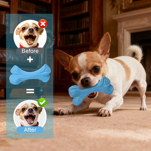 Interaktif çevre dostu doğal kauçuk dayanıklı karikatür Modern köpekler için kemik oyuncak çiğnemek-açık sesli evcil hayvan oyuncağı - Product Image 3