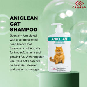 แชมพูแมวเป็นมิตรกับสิ่งแวดล้อมใช้ในห้องน้ำแชมพูแมวลูกแมว - Product Image 3