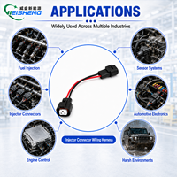 Cableado Personalizado para Conector de Inyector, Arnés de Cableado Automotriz