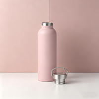 Bouteille d'eau en acier inoxydable de 750ml Bouteille à vide isolée non toxique avec logo personnalisé Bouteille de sport isolée pour la salle de sport