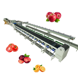Đáng tin cậy chất lượng táo phân loại phân loại đóng gói dòng tiên tiến-công nghệ hiệu suất ổn định táo phân loại phân loại đóng gói dòng - Product Image 1