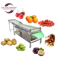 Fruit sorteermachine voor granaatappels, kersentomaten & groenten - sorteerlijn voor fruitverwerkingsbedrijven