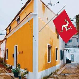 Banderas de Poliéster Personalizables de 3x5 Pies de la Isla de Man, 100D, Entrega Rápida de un Proveedor Confiable, Todas las Naciones - Product Image 5