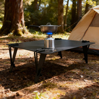 Table de plage pliante portable mini fer à repasser, design moderne, mobilier d'extérieur pour camping et pique-niques