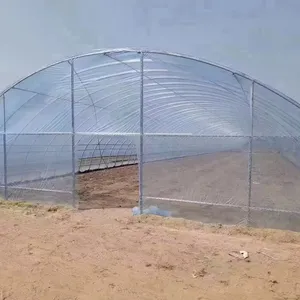 透明蔬菜大棚，带农业栽培塑料覆盖膜室内园艺水培种植帐篷