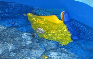 Nouveauté Robot nettoyeur de <span class=keywords><strong>piscine</strong></span> automatique Pikes Dolphin <span class=keywords><strong>2x2</strong></span> avec câble IP54 de 40 m et filtration de 32 m/h - Product Image 2