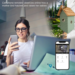 3MP <span class=keywords><strong>Bird</strong></span> Nest con orologio a energia solare con uccelli nidificazione a colori Smart <span class=keywords><strong>Bird</strong></span> <span class=keywords><strong>House</strong></span> con telecamera da cova in tempo reale - Product Image 5
