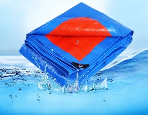 Bâche en plastique <span class=keywords><strong>agricole</strong></span> transparente en PE de 200 microns, film tissé pour <span class=keywords><strong>serre</strong></span>, couverture de pluie pour verger, vente en gros - Product Image 5