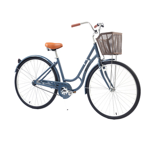 Vélo de montagne à vitesse unique 28 pouces 26 pouces au design coloré, vélo de route <span class=keywords><strong>Sava</strong></span> avec support pour vélo de fille - Product Image 3