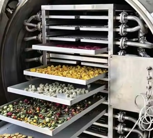 Máquina de Secado por Congelación <span class=keywords><strong>al</strong></span> Vacío de Frutas de Acero Inoxidable 304 de Alta Capacidad y Bajo Consumo Energético OEM para Limón y Café - Product Image 5
