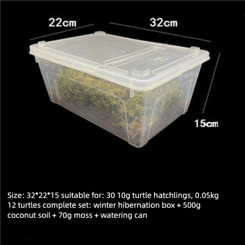 Medium hibernation box delivers coconut Moss watering can