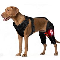 Attelle de genou pour chien en néoprène réglable et personnalisable pour le soutien des membres arrière (ACL/CCL) avec harnais post-chirurgical pour l'arthrite