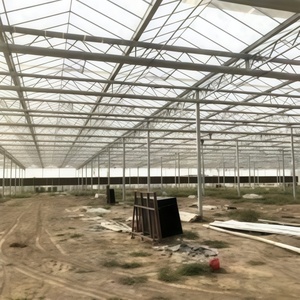 Invernadero de Vidrio para Cultivo de Melocotones, Adaptable al <span class=keywords><strong>Clima</strong></span> <span class=keywords><strong>Templado</strong></span> y con Sistema de Refrigeración/Calefacción, Frutas Dulces - Product Image 5