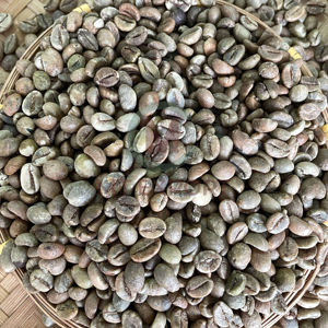 Premium Vietnam Arabica Robusta Green Coffee Beans 100% Café orgánico puro para tostado y suministro de bebidas - Product Image 5