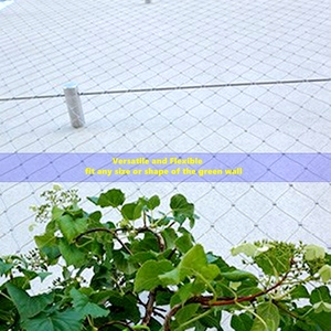 Longue durée de vie <span class=keywords><strong>France</strong></span> 1.5 Mm 120*120 Mm Ss Treillis métallique pour l'escalade des plantes de jardin - Product Image 2