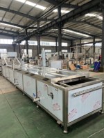 Hoge capaciteit fruit- en groenteverwerkingsmachine, stoomkokosnootbandblancher, hazelnootblancher