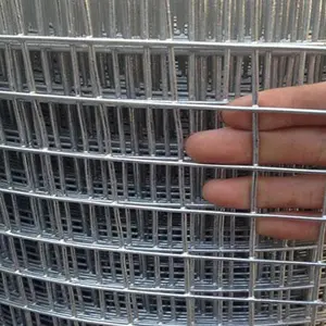 Vendita calda rete metallica saldata in acciaio inox/acciaio inossidabile saldato rotolo di rete metallica