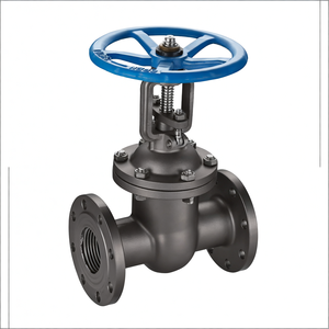 Válvula de Compuerta de Acero Inoxidable Estándar ANSI JIS DIN GB de Pedido Urgente COVNA, Válvula de Compuerta de Hierro Fundido - Product Image 1