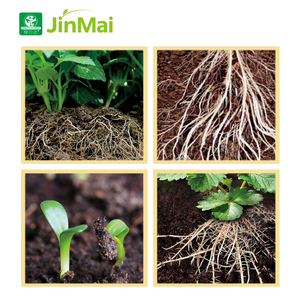 Stimulateur de croissance des racines aux peptides et aux acides aminés, biostimulant naturel pour l'enracinement, engrais pour la résistance au stress et l'absorption des nutriments - Product Image 5