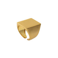 VIANRLA 18k vergoldet breite blank signet offenen ring 925 sterling silber siegelring